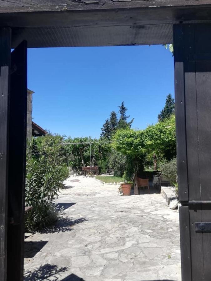 Loxandra Inn カースィカス エクステリア 写真