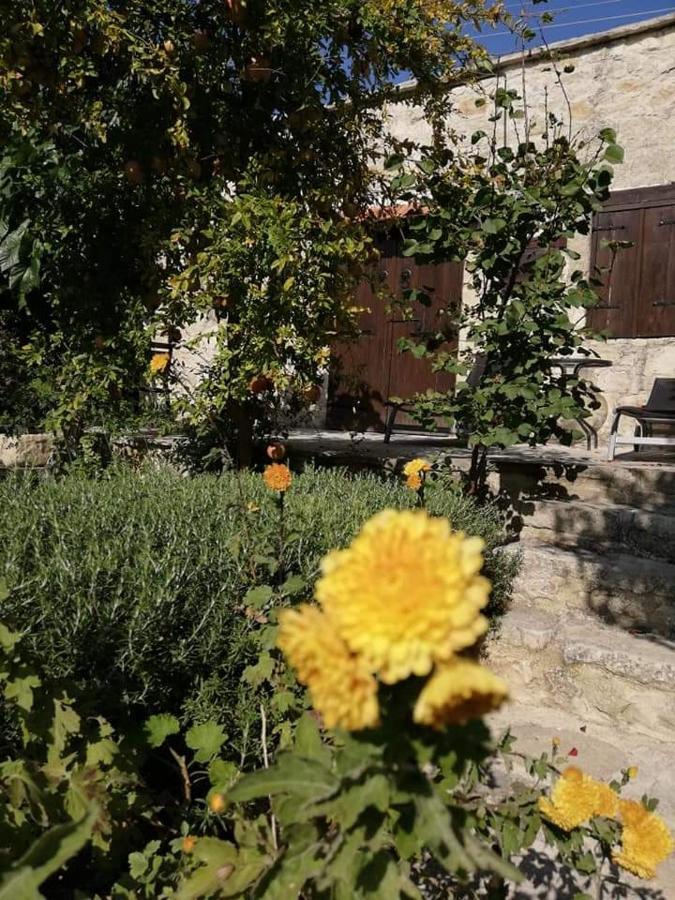 Loxandra Inn カースィカス エクステリア 写真